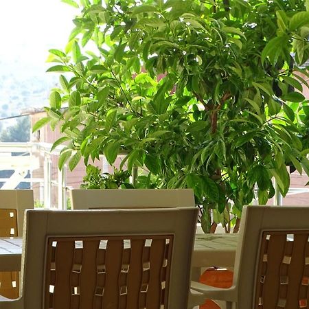 קסאמיל Cozy Central Apartment מראה חיצוני תמונה